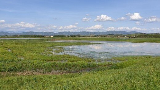 Trekking Lungo Il Canale Usciana景点图片