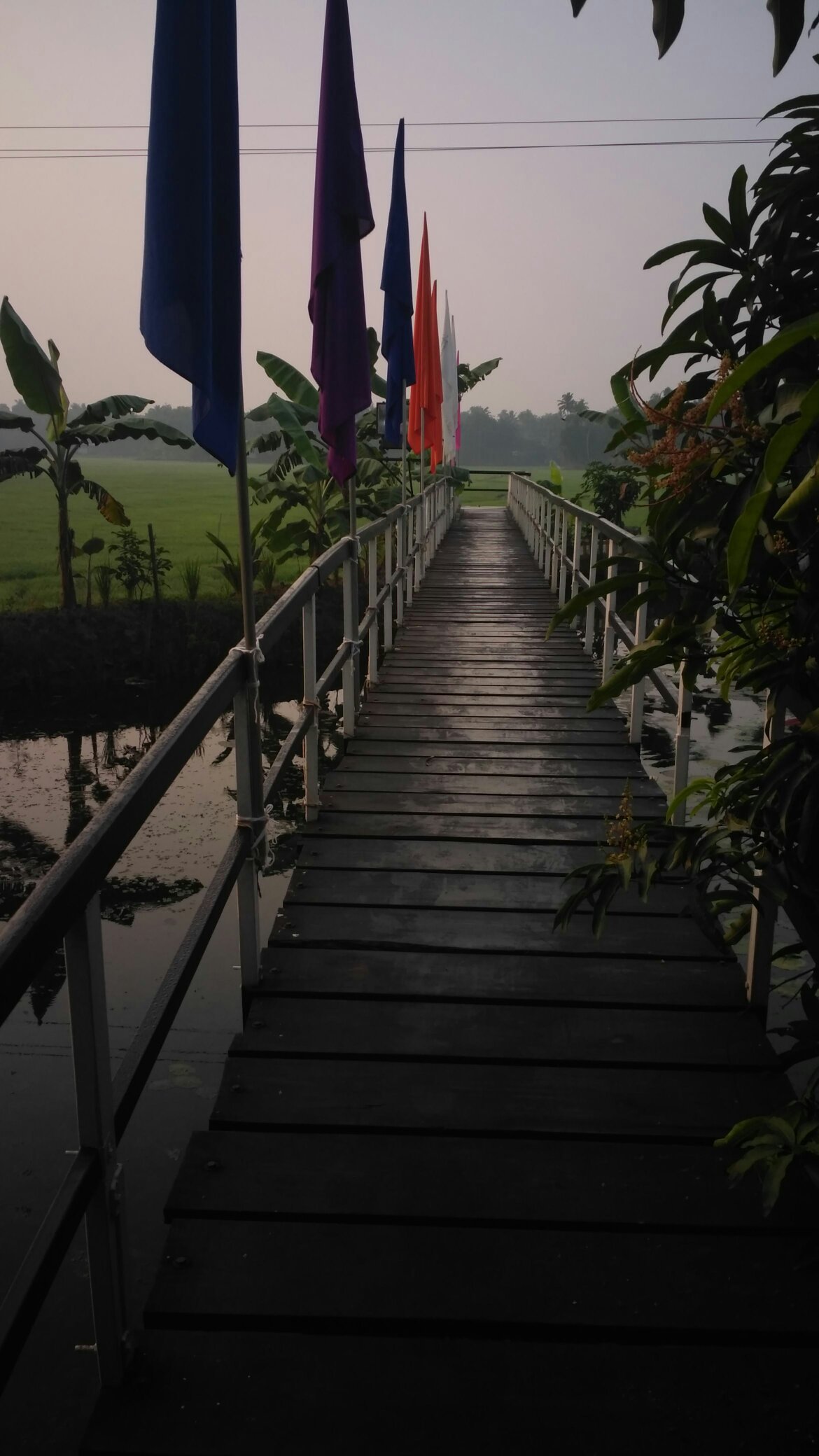 Avees River Gardens-官方