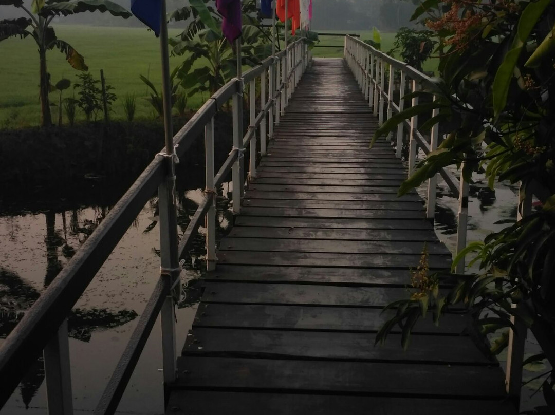 Kuttanad旅游攻略图片