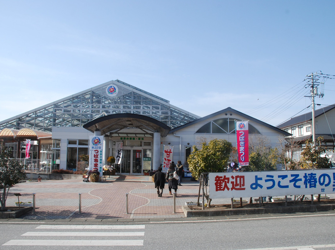 World of Tsubakikan-Stones