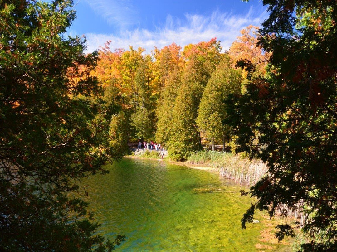 Campbellville旅游攻略图片