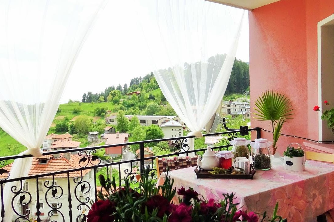 Momchilovtsi旅游攻略图片