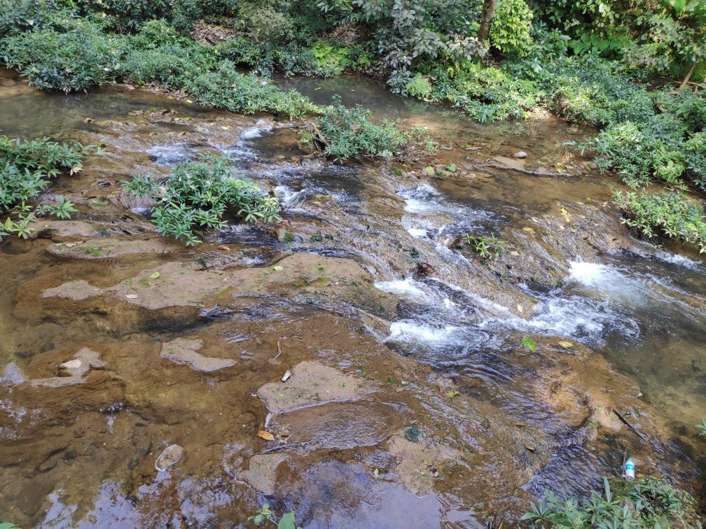 Corbett Falls景点图片