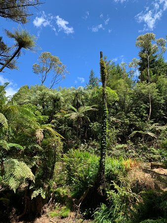 Lake Mangamahoe-新普利默斯必去景点