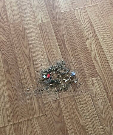 Slopeside Lodge主图