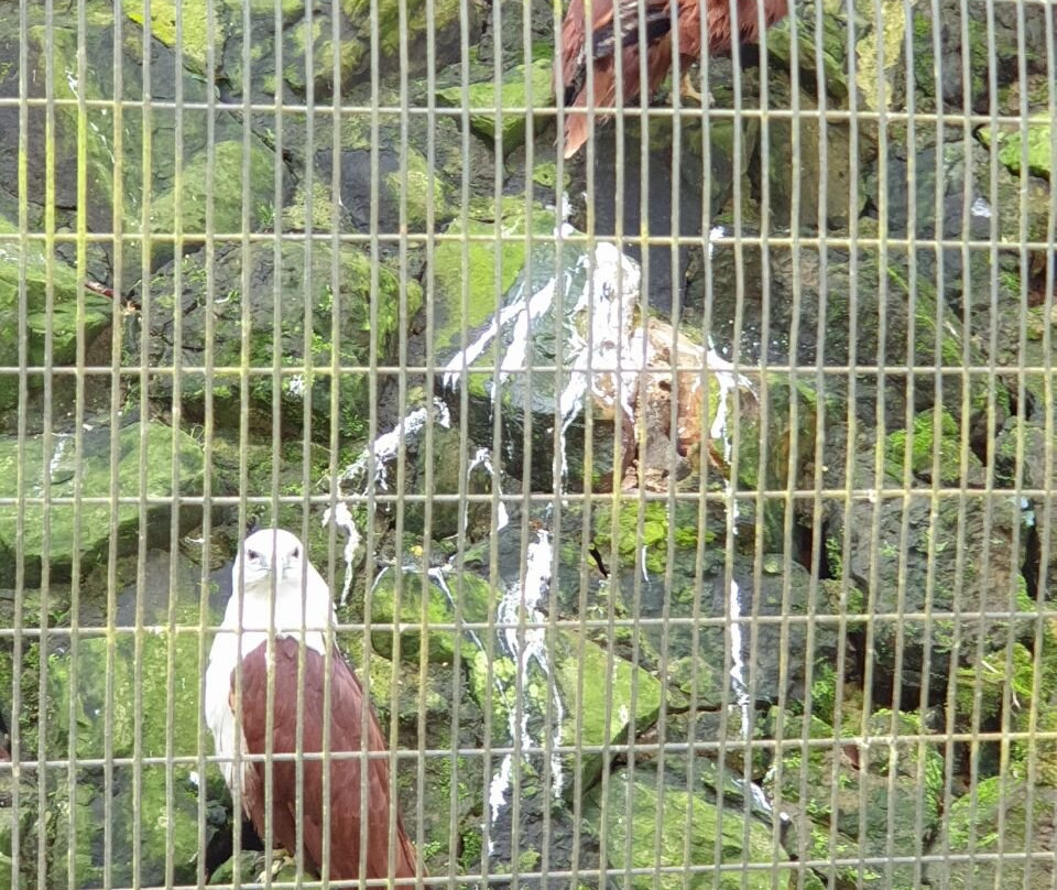 Taman Tumbina-宾图卢必去景点