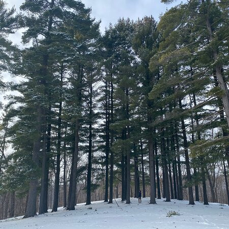 Mount Hosmer Park-Lansing必去景点