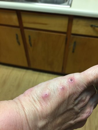 Baymont by Wyndham Forest City主图