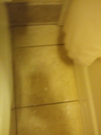 Best Western Inn主图