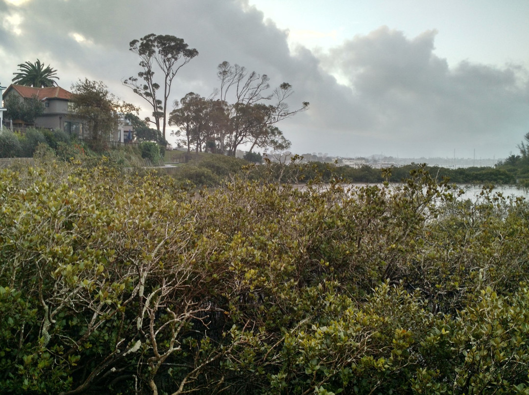 Pakuranga Rotary Walkway-奥克兰中心地区必去景点
