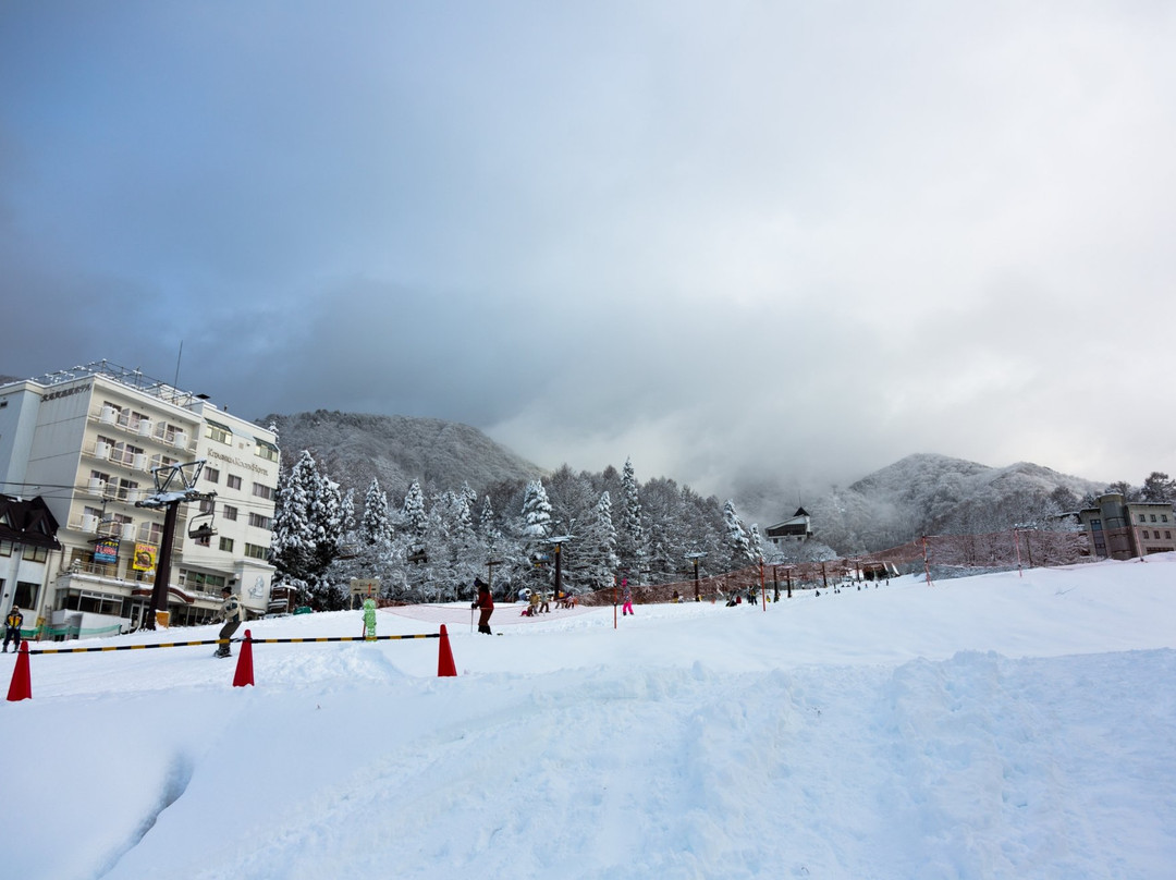 Ryuoo Ski Park景点图片