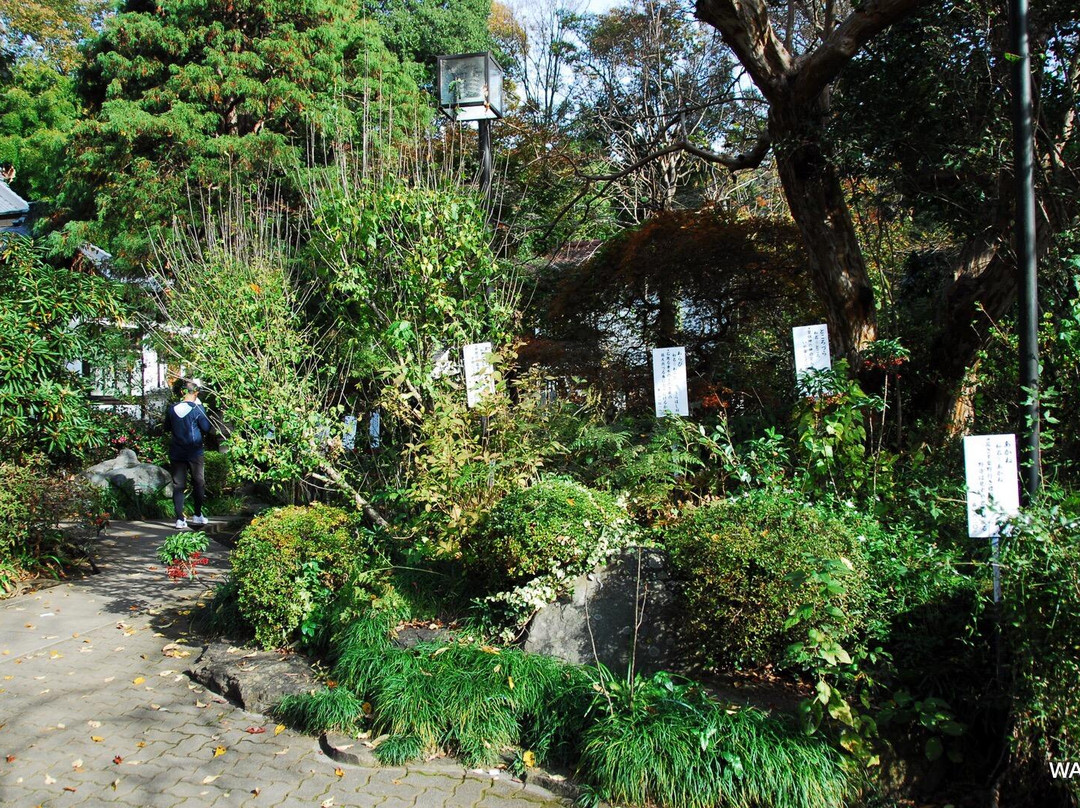 Manyo Botanical Garden-国分寺市必去景点