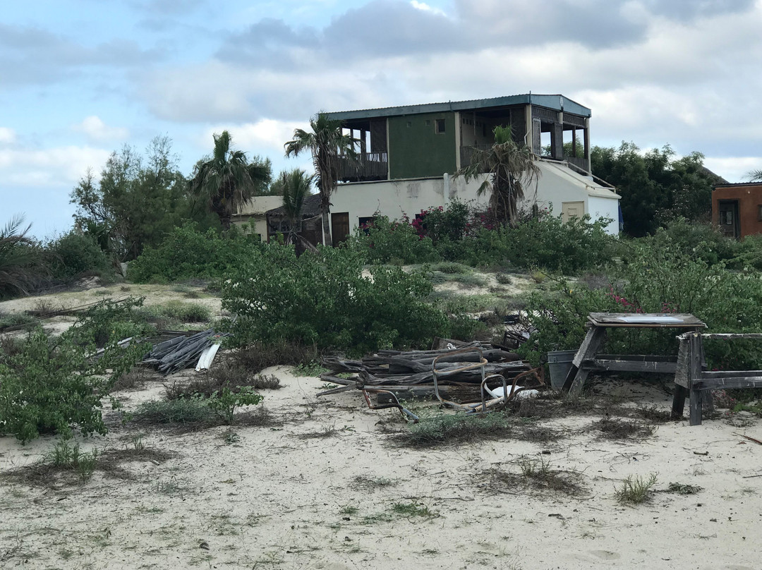 Cabo Pulmo Eco Palapa