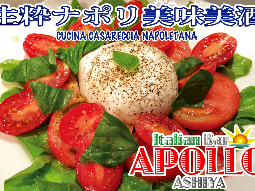 Italian Bar APOLLO ASHIYA