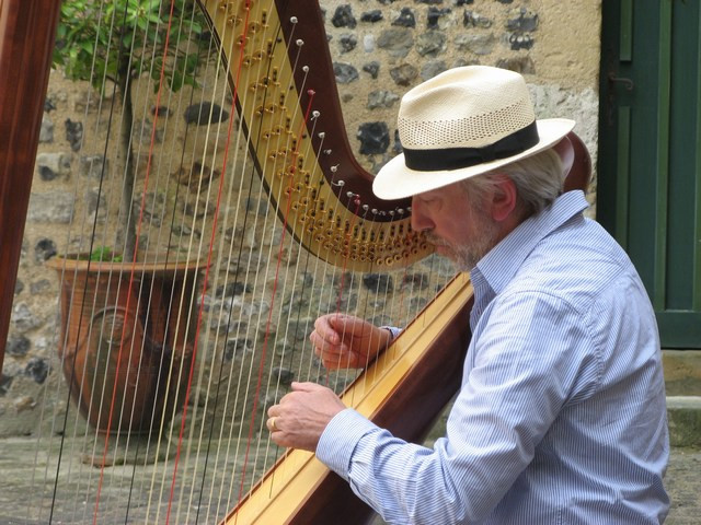 Luc Vanlaere Harpist - Harp Museum-布鲁日必去景点