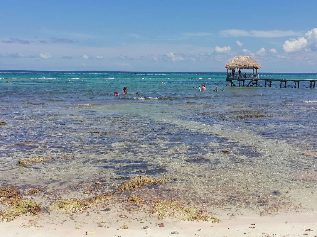 Suites at Mayan Palace Vidanta Resort Riviera Maya