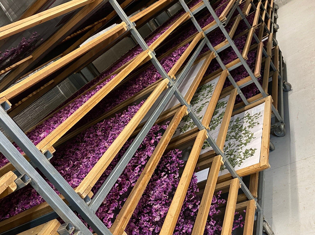 Biggs Flat旅游攻略图片