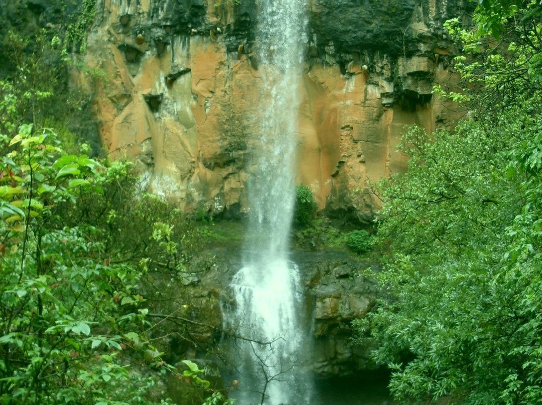 Rautwadi Waterfall景点图片