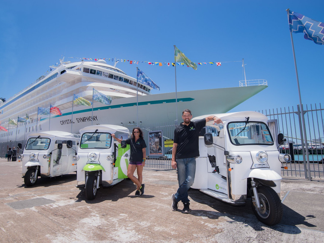 Kiwi Connect - Auckland  Guided Tours-奥克兰中心地区必去景点