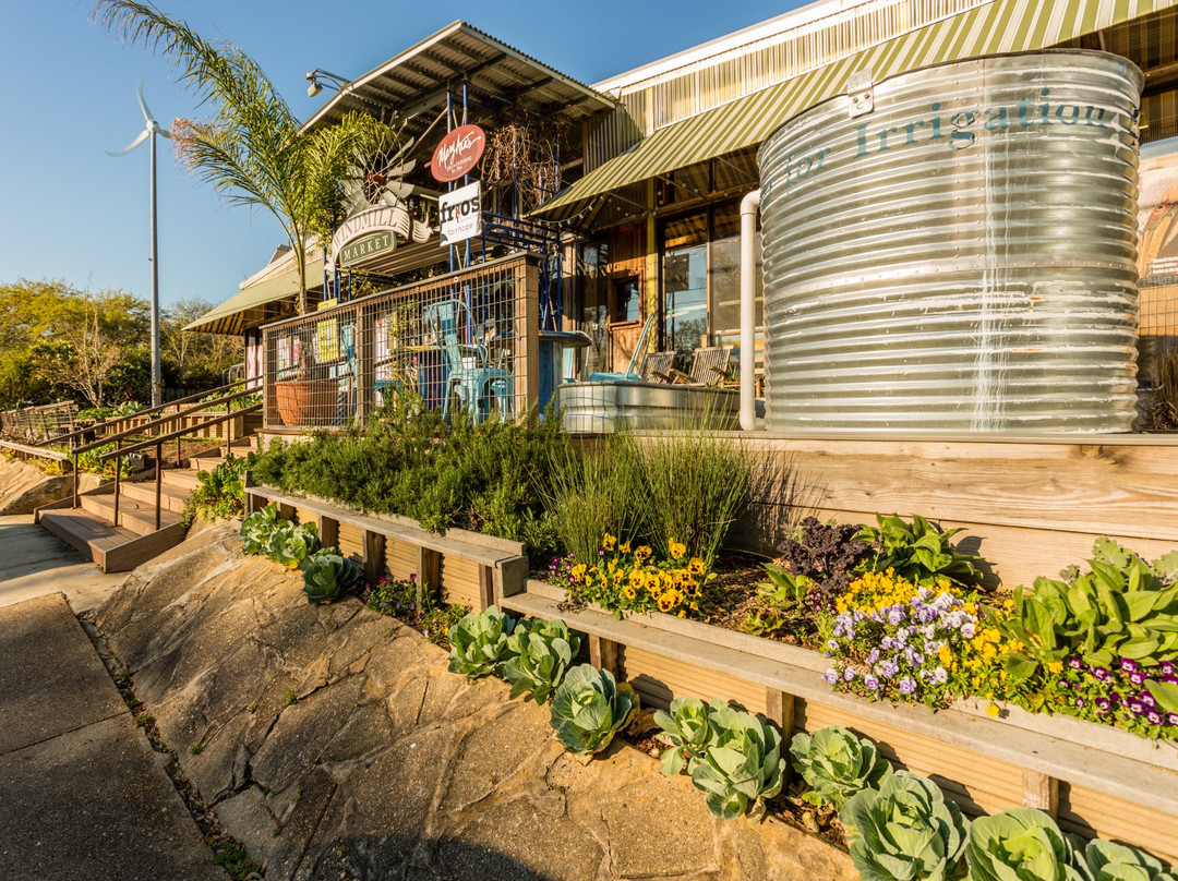 Windmill Market-费尔霍普必去景点