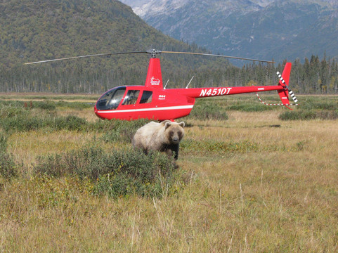 Alaska Ultimate Safaris