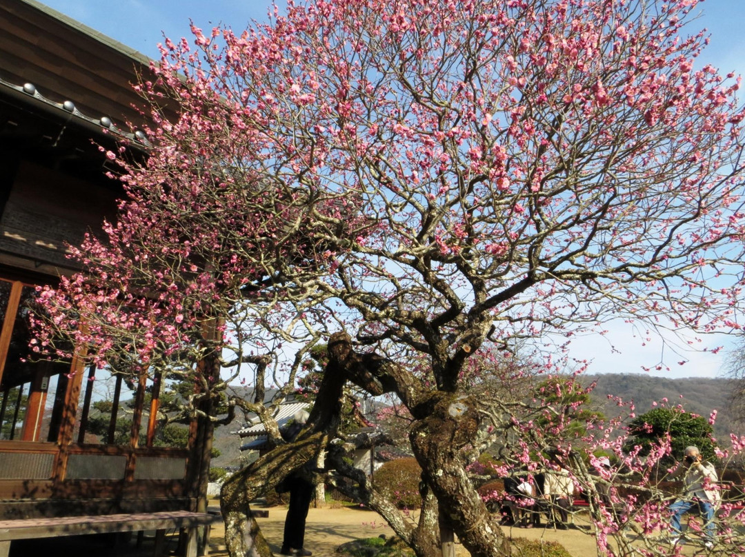 Kansho-ji Temple景点图片