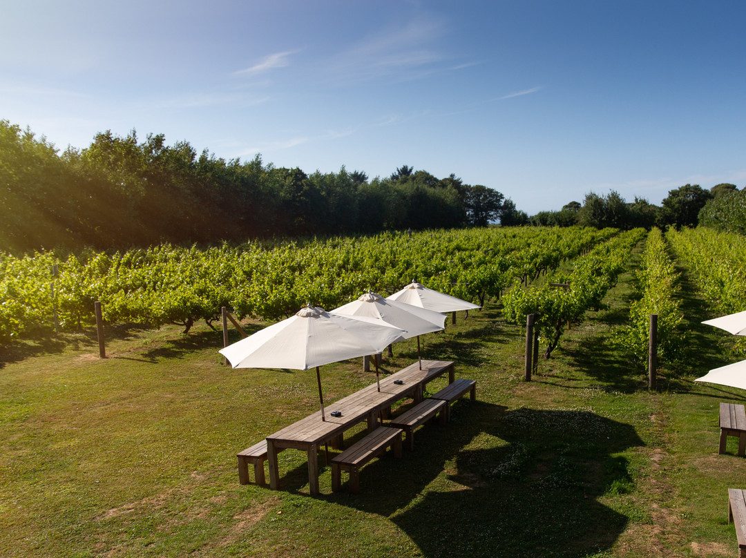 Jersey La Mare Wine Estate景点图片