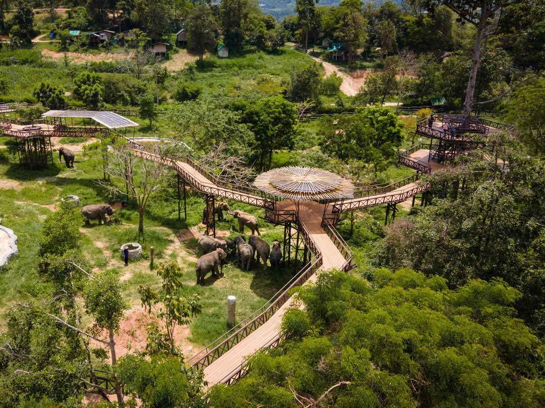 Samui Elephant Kingdom景点图片