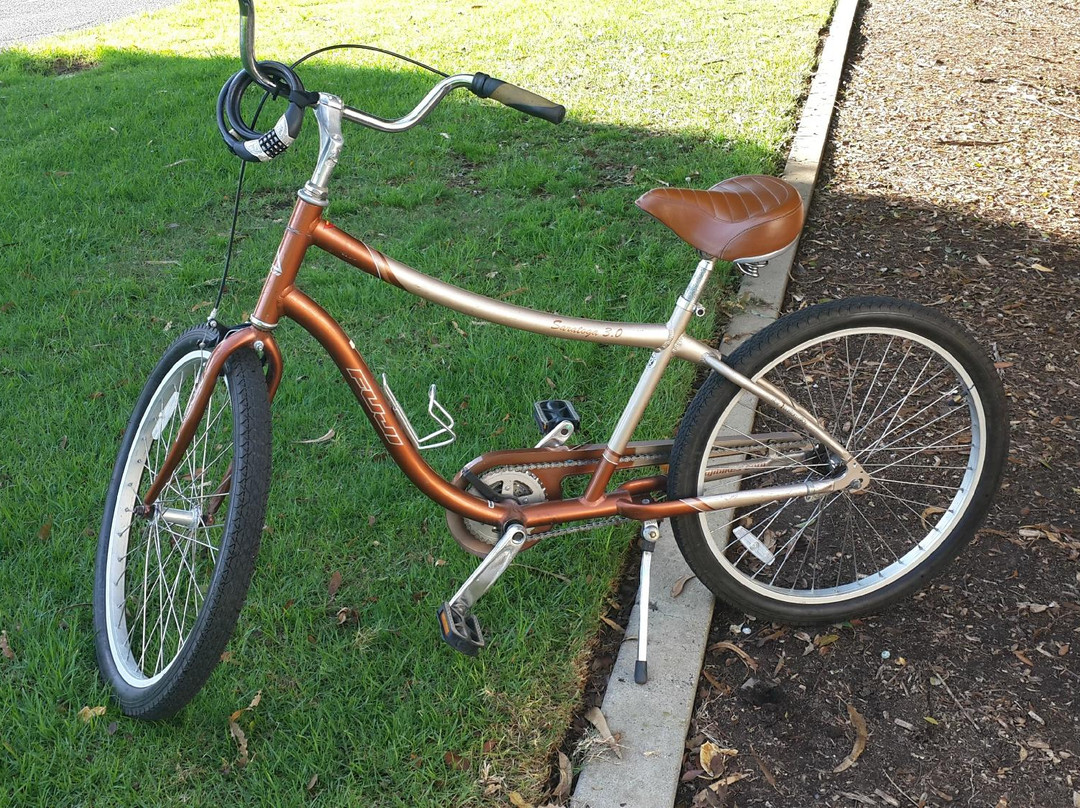 Daniels Bicycle Rentals and Sales-玛丽安德尔湾必去景点