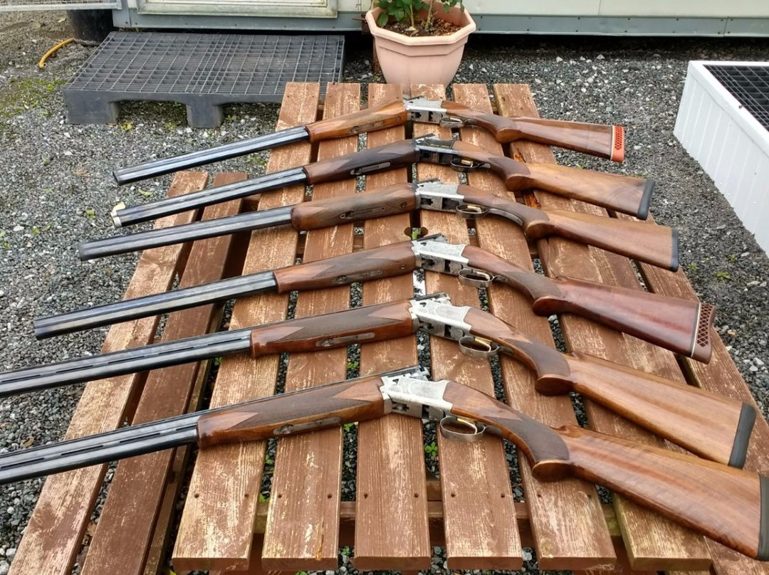 Rosemount Shooting School-利默里克必去景点