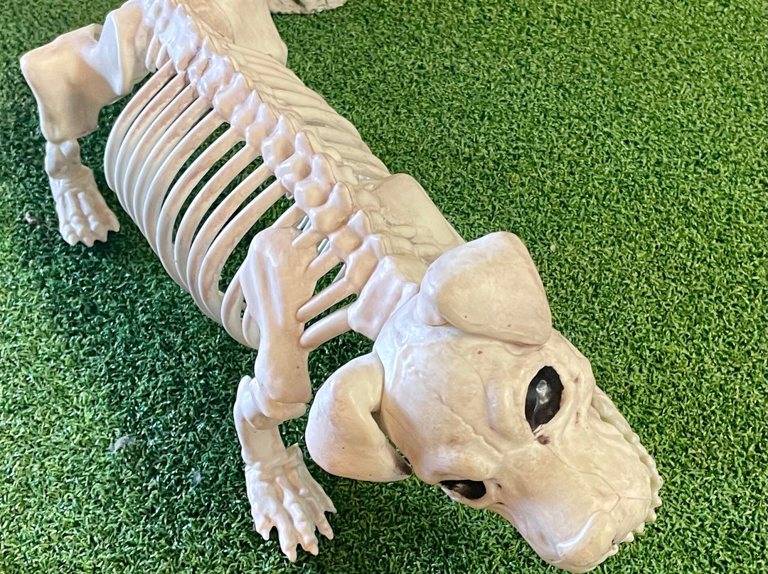 Mathoura General Store