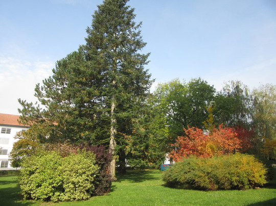 Arboretum Sezimovo Ústí