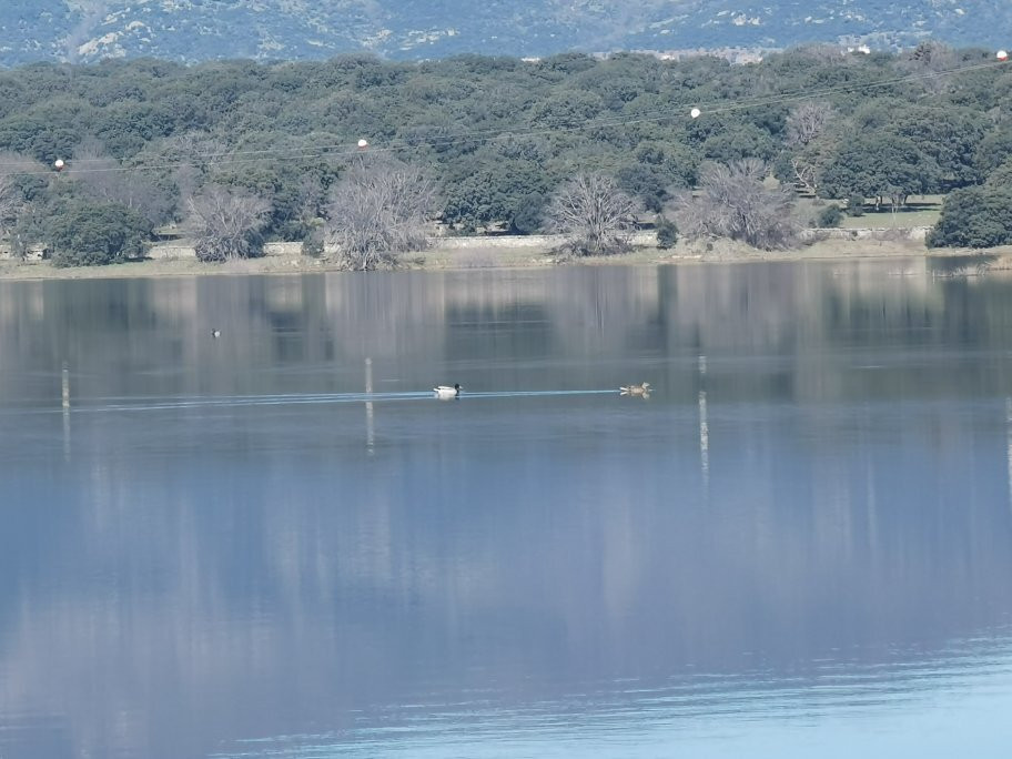 Embalse de Valmayor-Colmenarejo必去景点