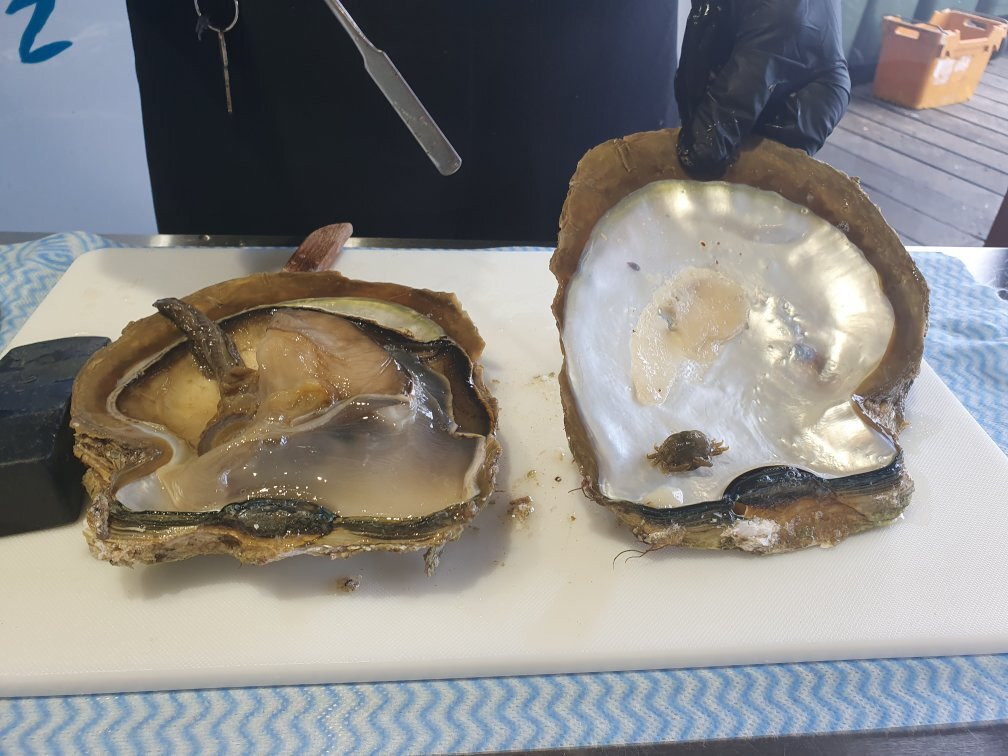 Willie Creek Pearls Elizabeth Quay-珀斯必去景点