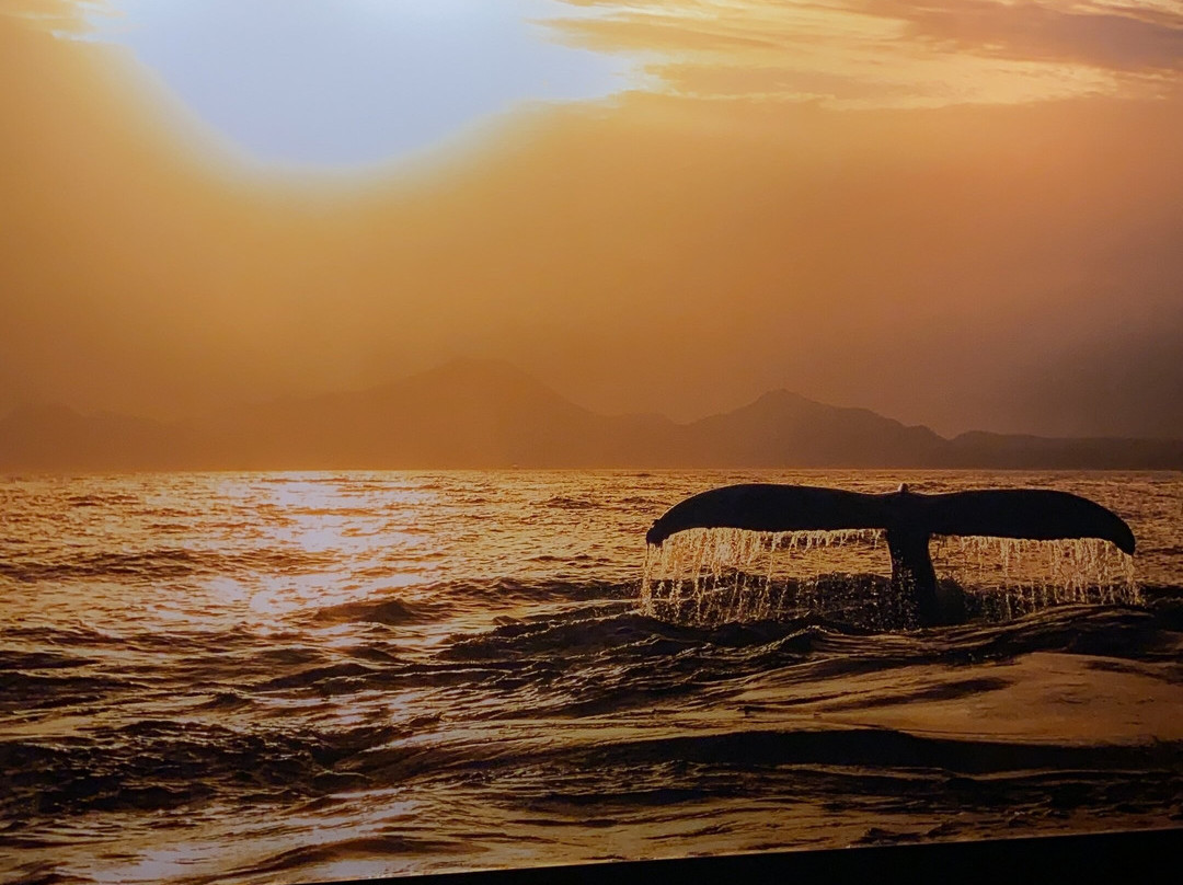 Inspiration Gallery-圣何塞卡波必去景点