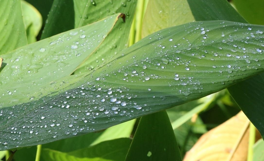 Admiralty Park-新加坡必去景点