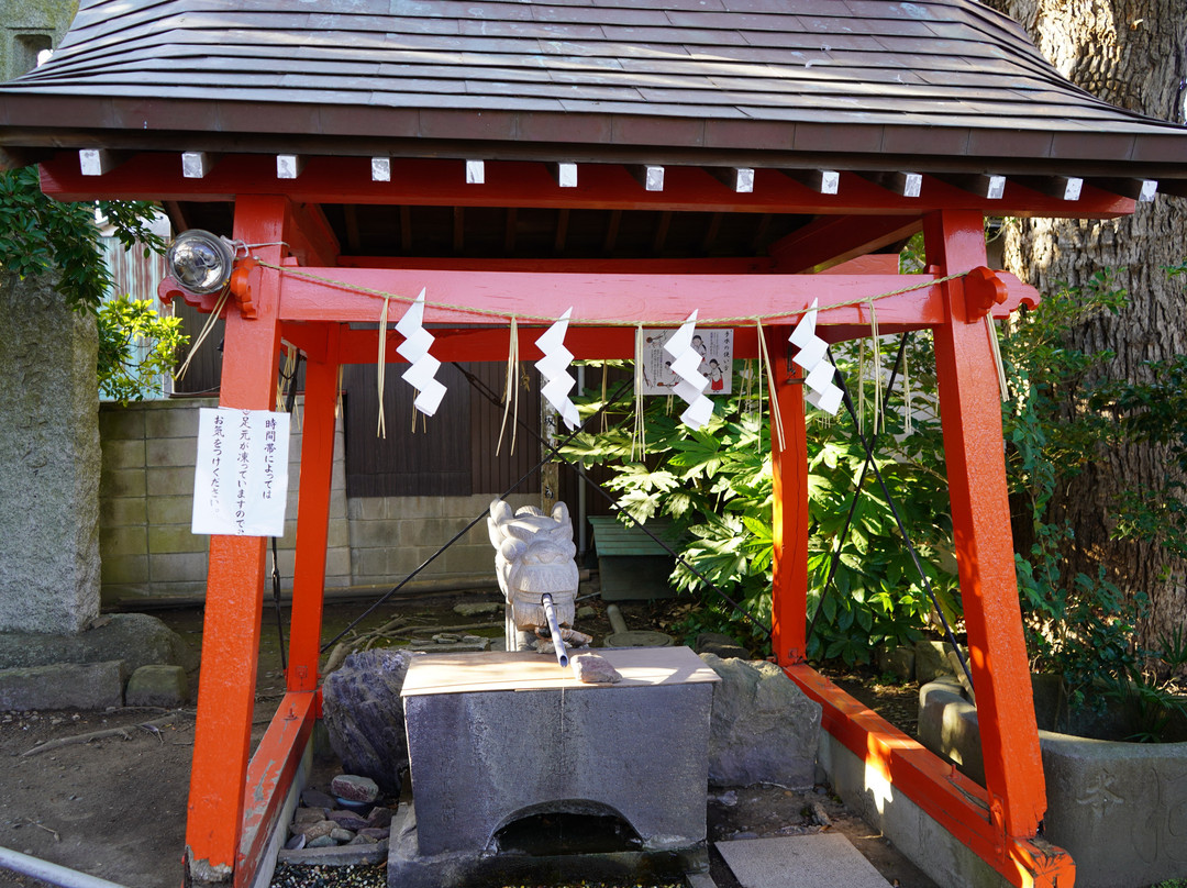 Yasaka Shrine景点图片