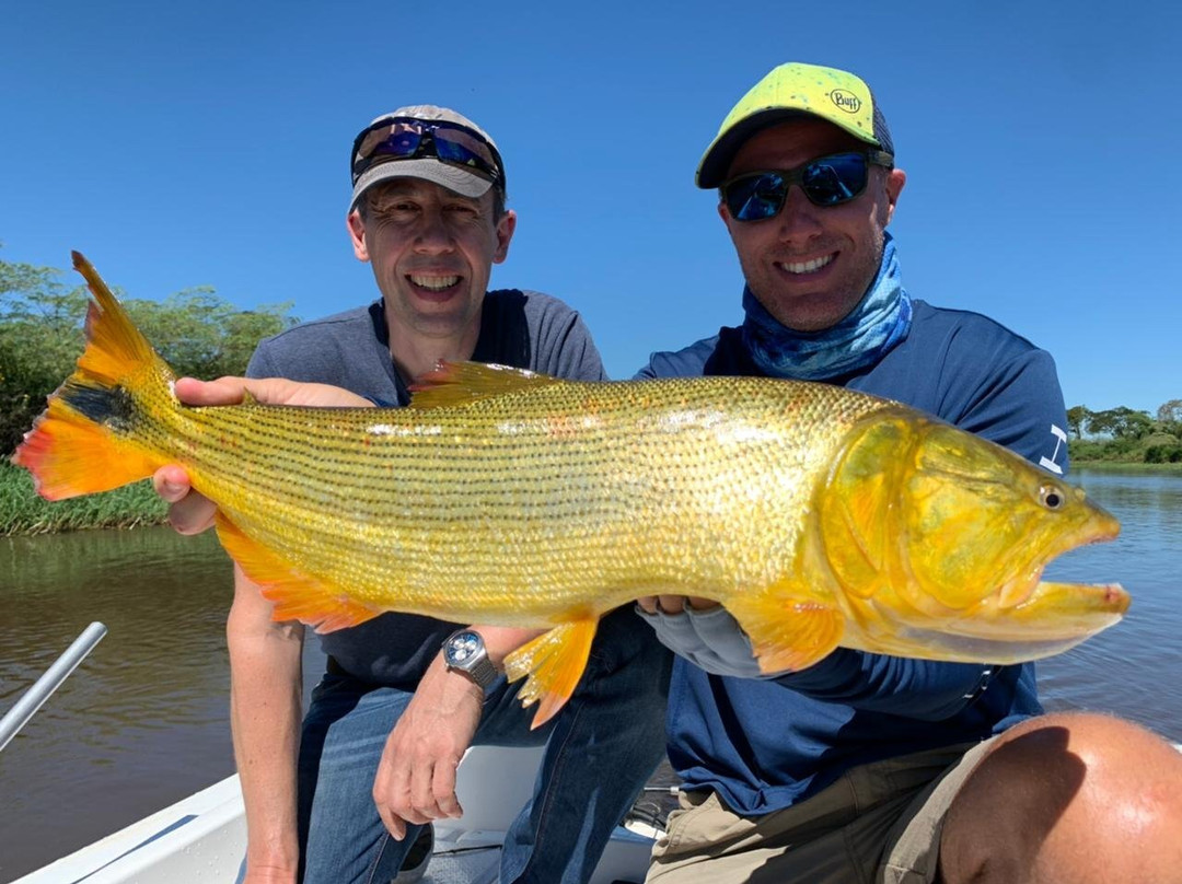 Fishing in Buenos Aires景点图片