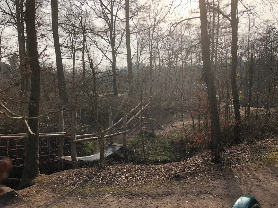 Het Hulsbeek景点图片