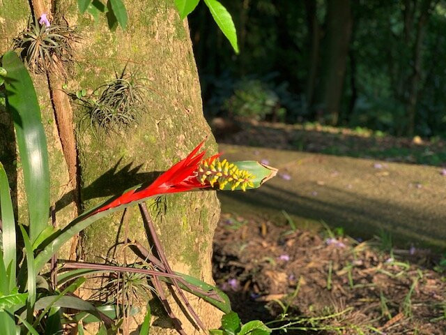 Parque Vinte De Maio-阿雷格里港必去景点