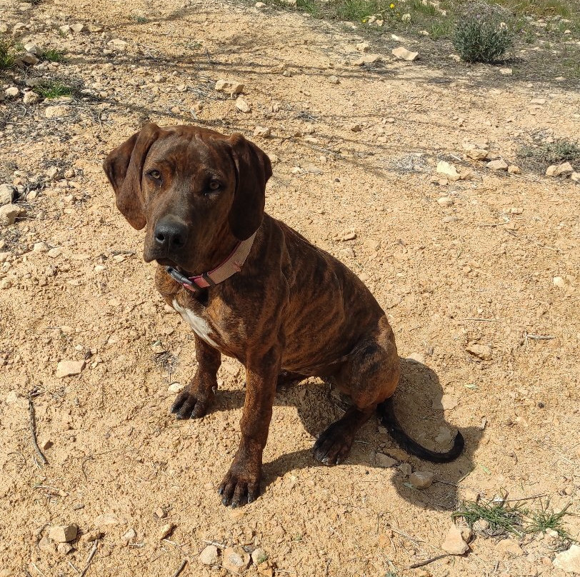 Nana Estate Winery-米茨佩拉蒙必去景点