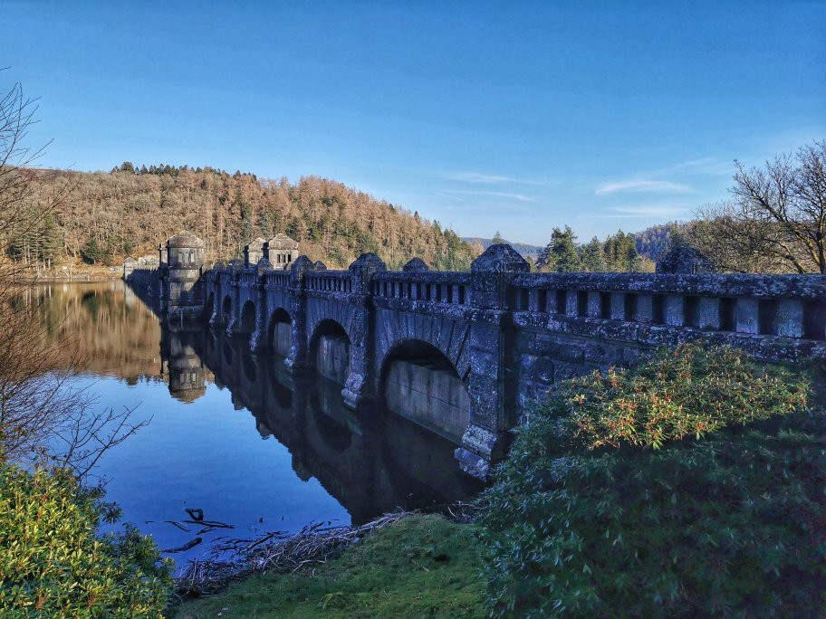 RSPB Lake Vyrnwy-奥斯沃斯特必去景点