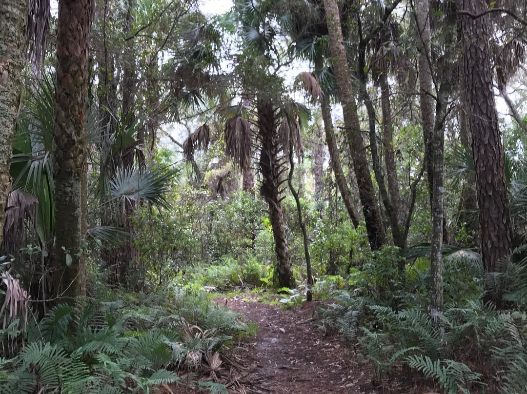 Caloosahatchee Creeks Preserve East-North Fort Myers必去景点