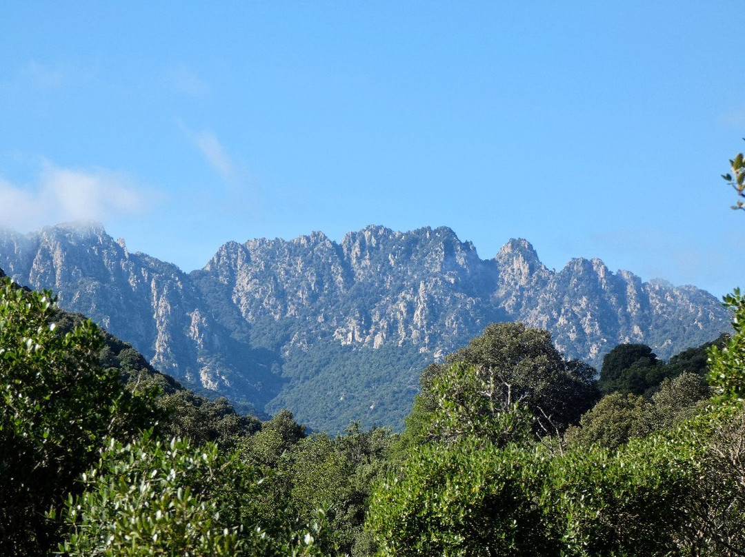 Monte Arcosu-Uta必去景点