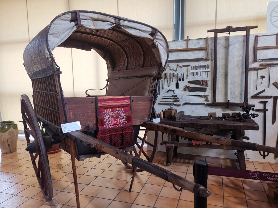 Museo Escolar de Pusol-埃尔切必去景点