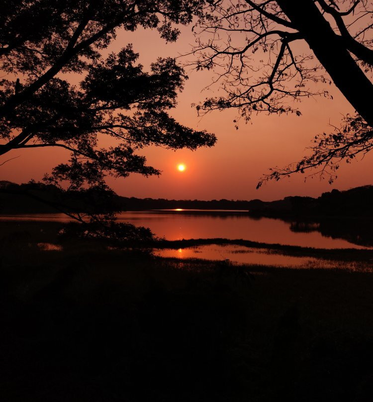 Kukkarahalli Lake-迈索尔必去景点