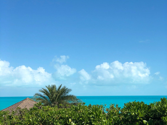 Island Style Tours TCI-普罗维登西亚莱斯必去景点