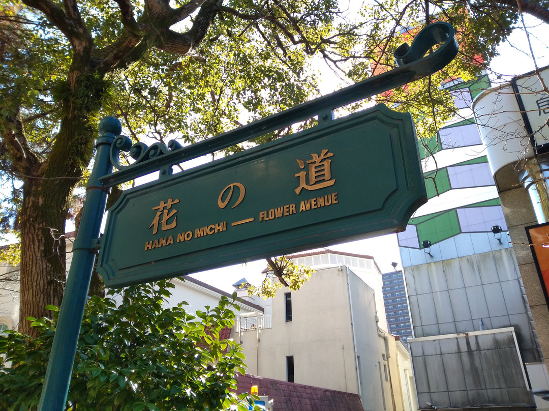 Takarazuka Hana no Michi-宝冢市必去景点