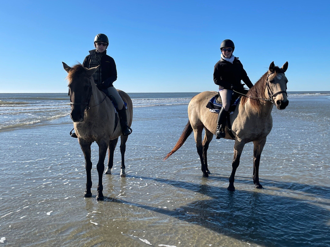 Seabrook Island Equestrian Center景点图片
