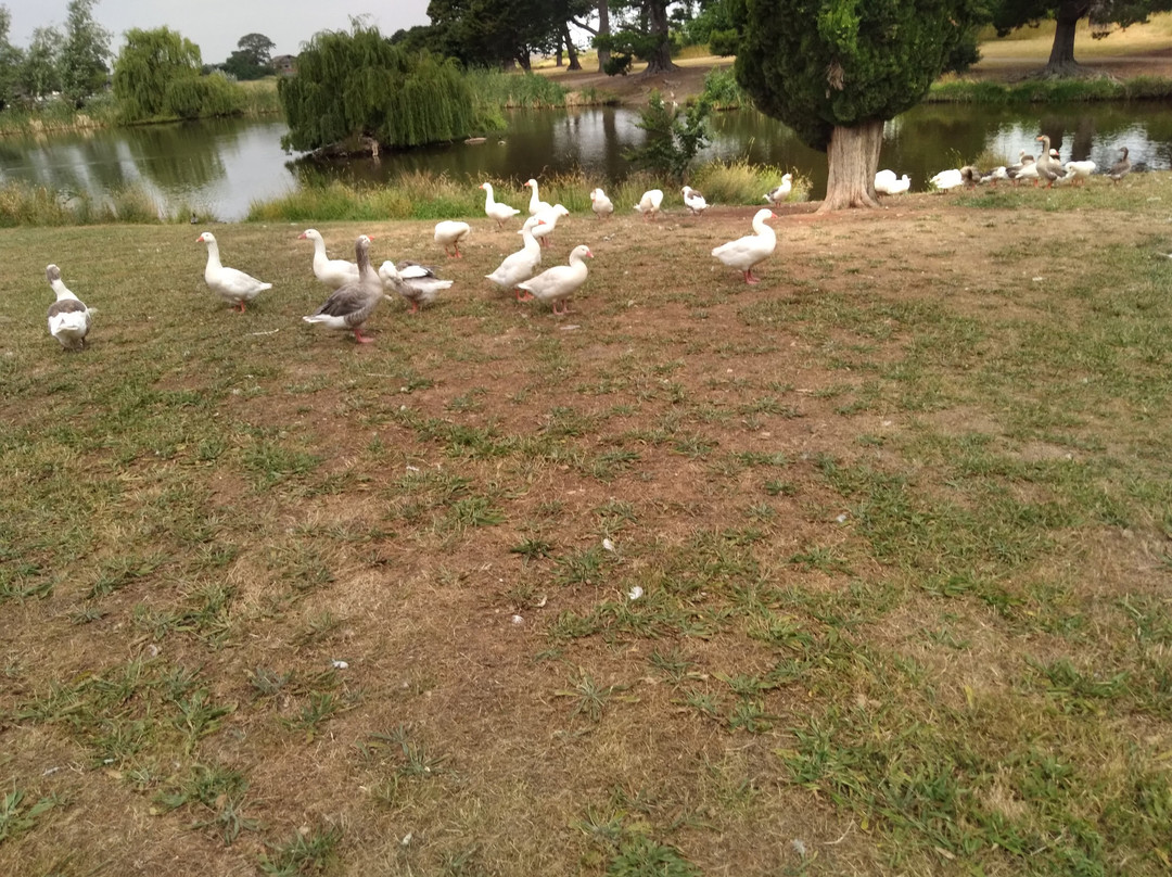 Walter J Smith Reserve-Riddells Creek必去景点